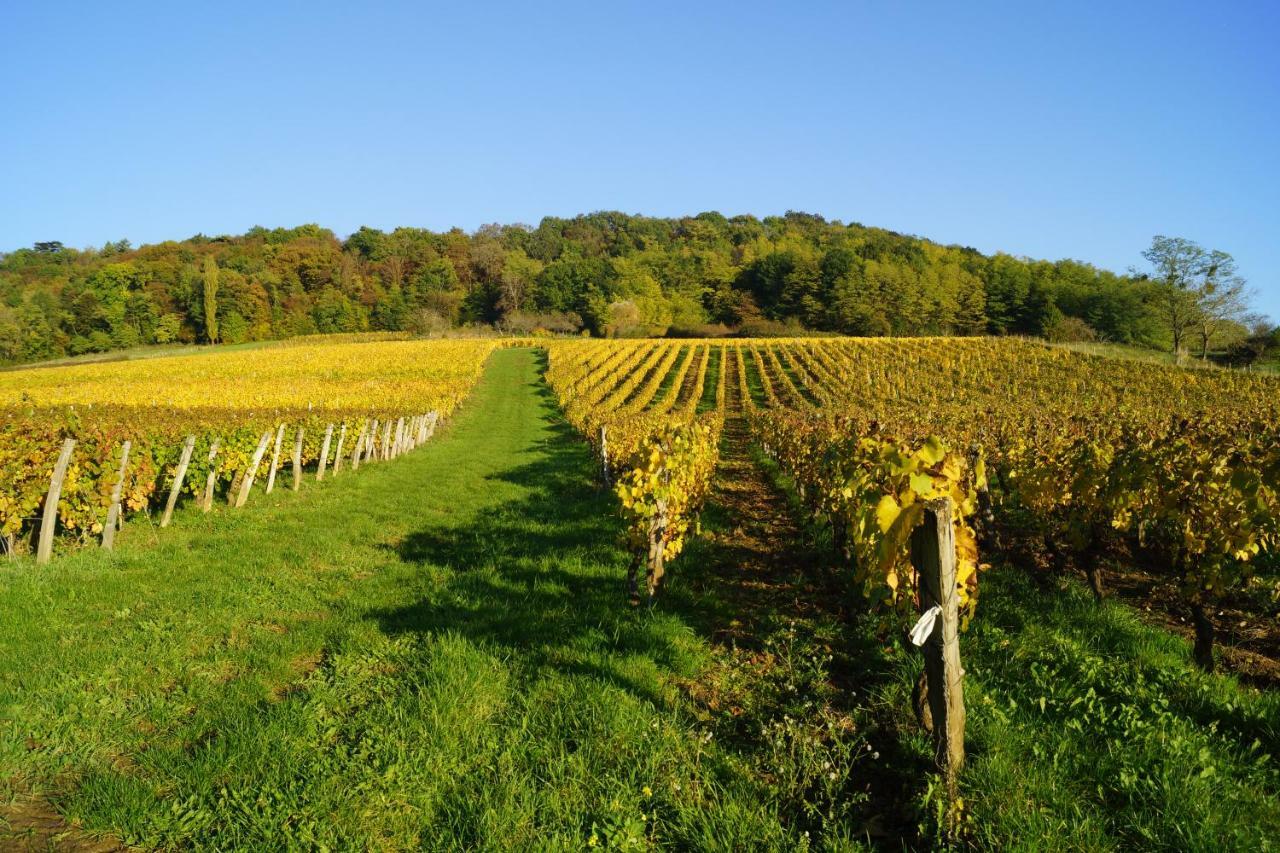 Domaine De Saint Loth' Panzió Kültér fotó