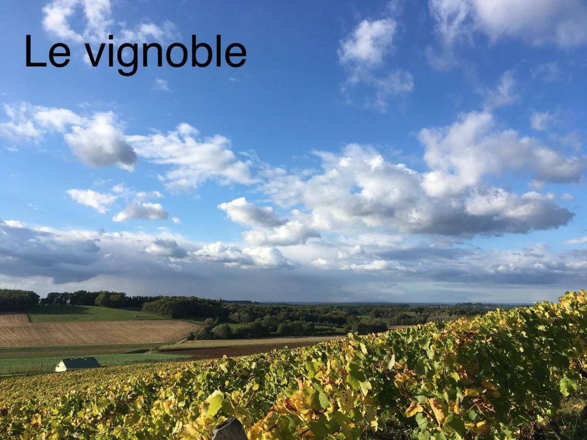 Domaine De Saint Loth' Panzió Kültér fotó