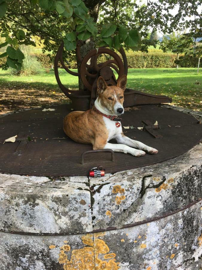 Domaine De Saint Loth' Panzió Kültér fotó